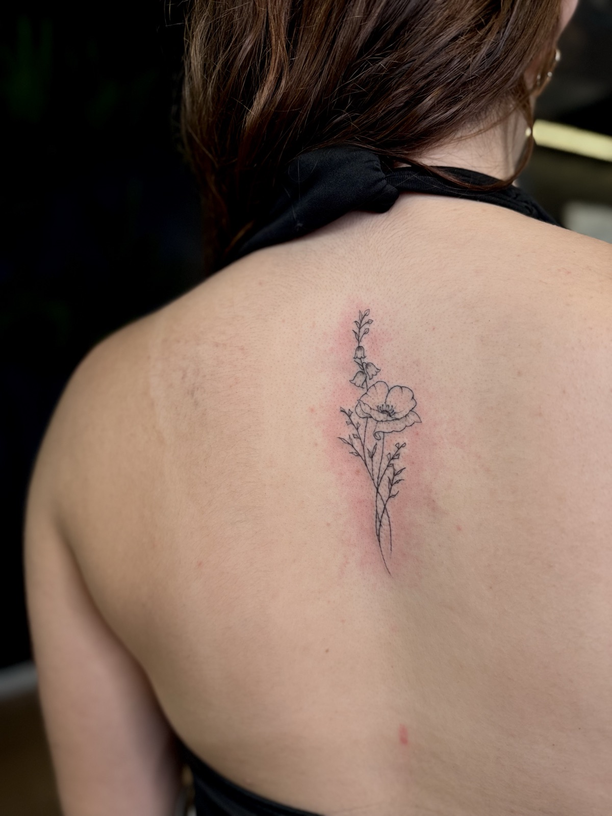 Ramo de papoula e campânulas em fine line com sombra pontilhada, nas costas entre as escápulas. Por Dudis (Maria Eduarda Freitas), na ADV Tattoo.